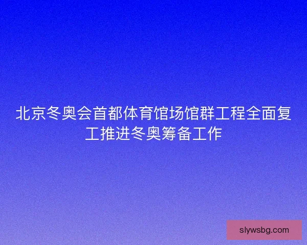 北京冬奥会首都体育馆场馆群工程全面复工推进冬奥筹备工作